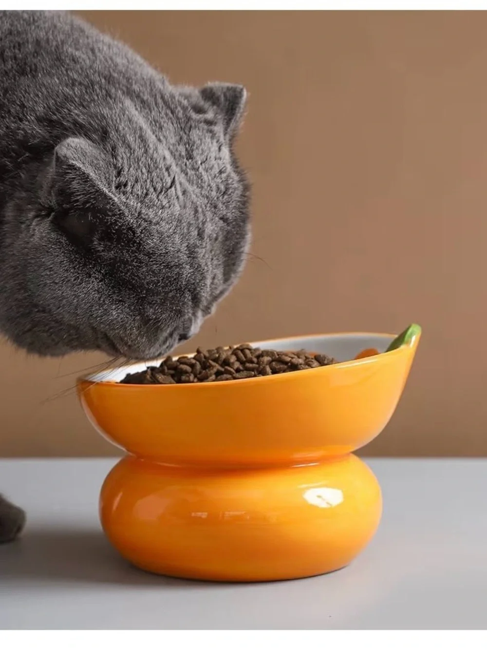 Ceramic Fruit Shaped Raised cat bowl New in box Orange fruit ceramic bowl
